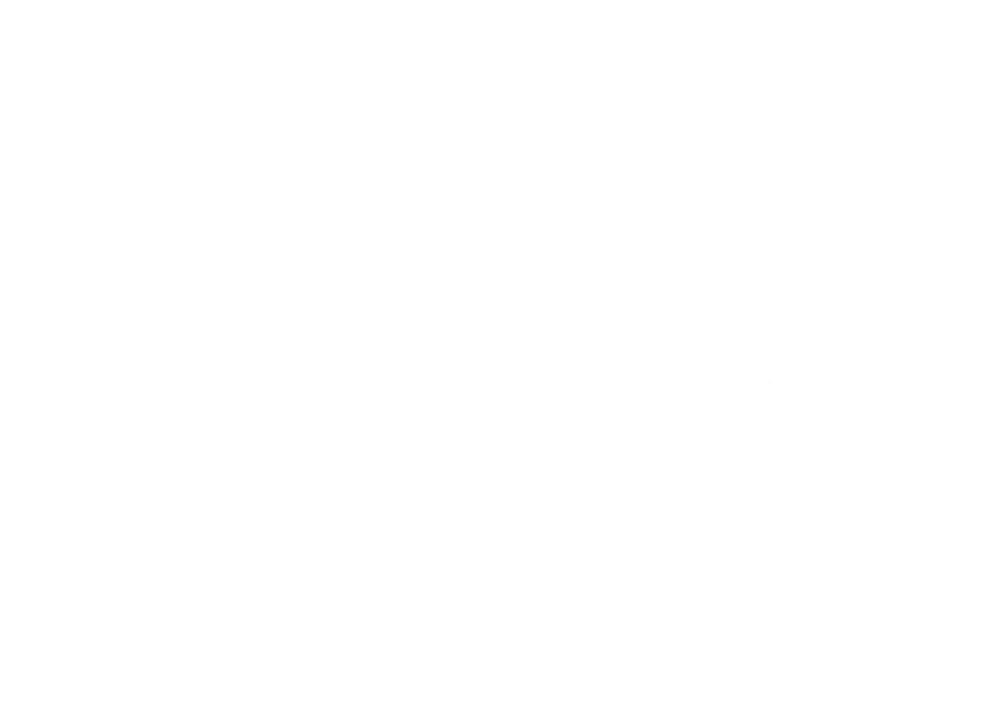 Topographic lines weave across the screen
