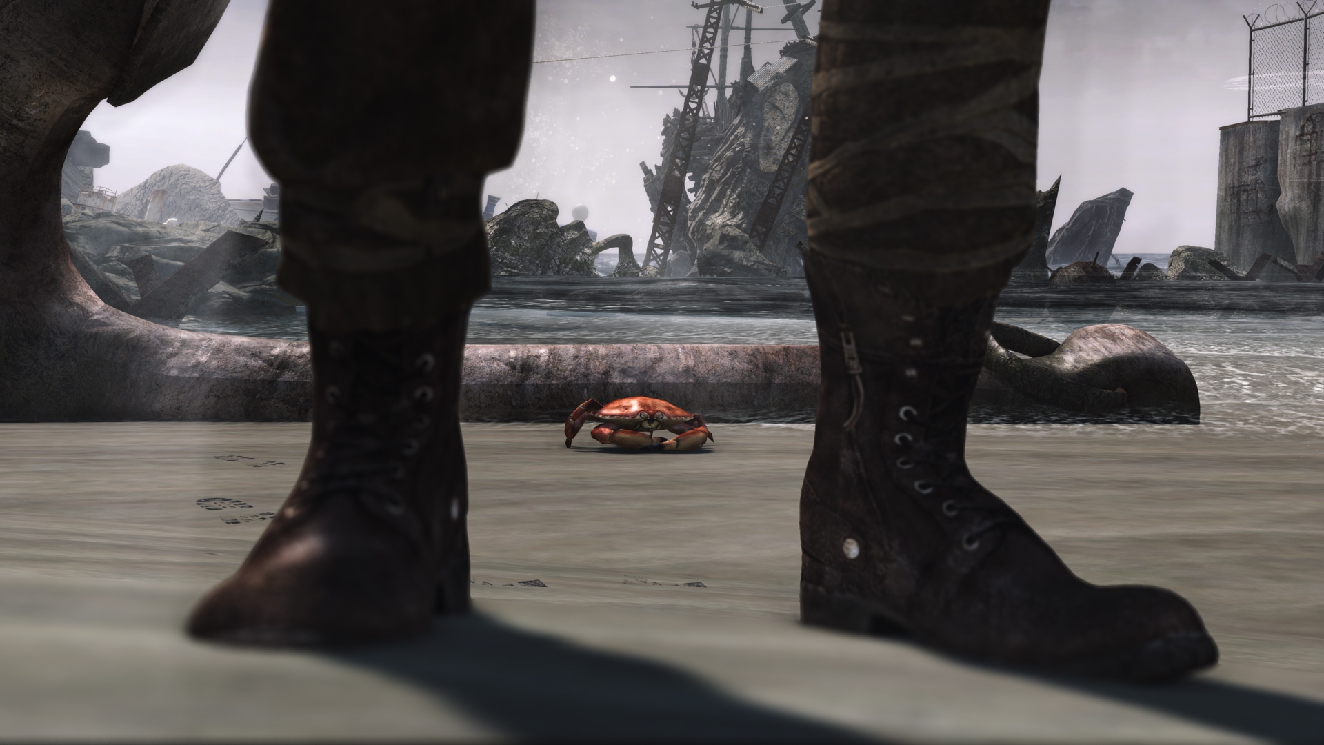 Screenshot of FeeFee the Crab from Tomb Raider (2013)