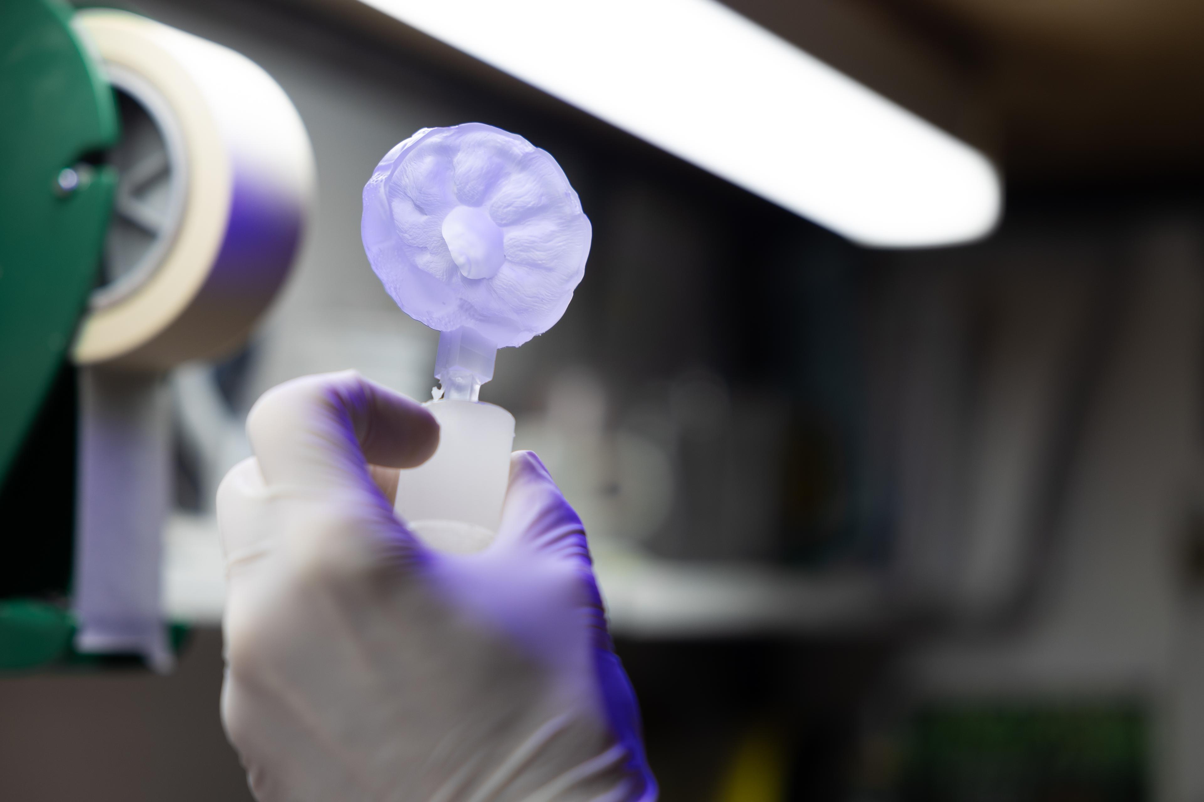 WETA BTS 2T2A4212 280125