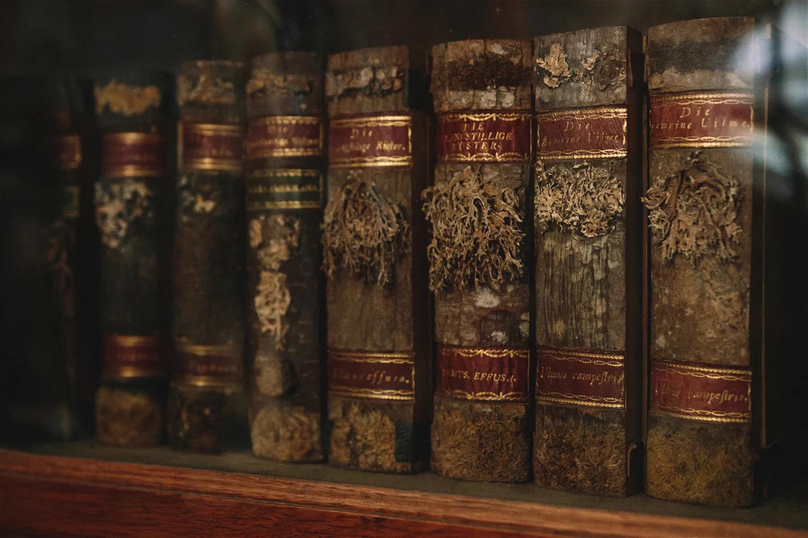 A close-up of aged, ornate leather-bound books on a shelf, signifying a collection of valuable and possibly ancient literature.
